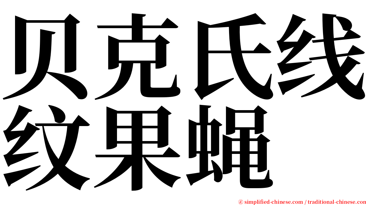 贝克氏线纹果蝇 serif font