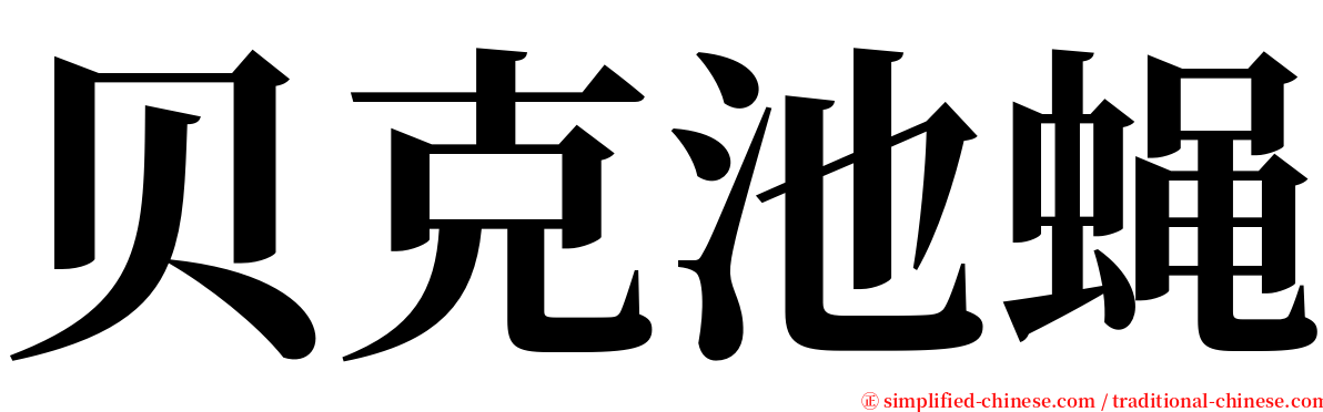 贝克池蝇 serif font