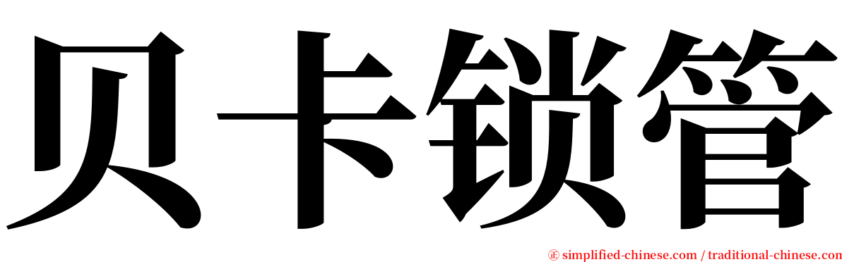 贝卡锁管 serif font