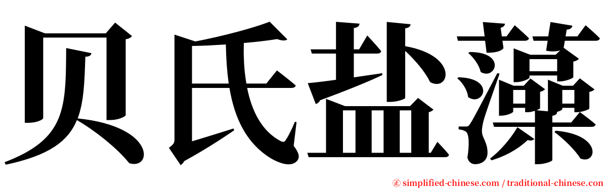 贝氏盐藻 serif font