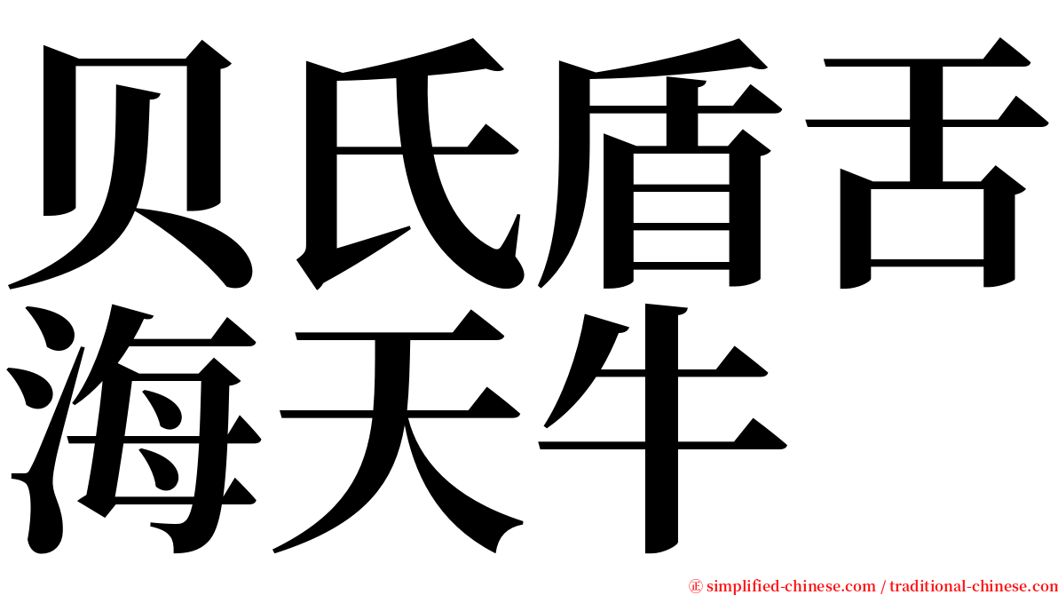 贝氏盾舌海天牛 serif font