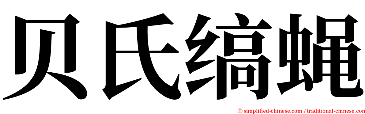 贝氏缟蝇 serif font