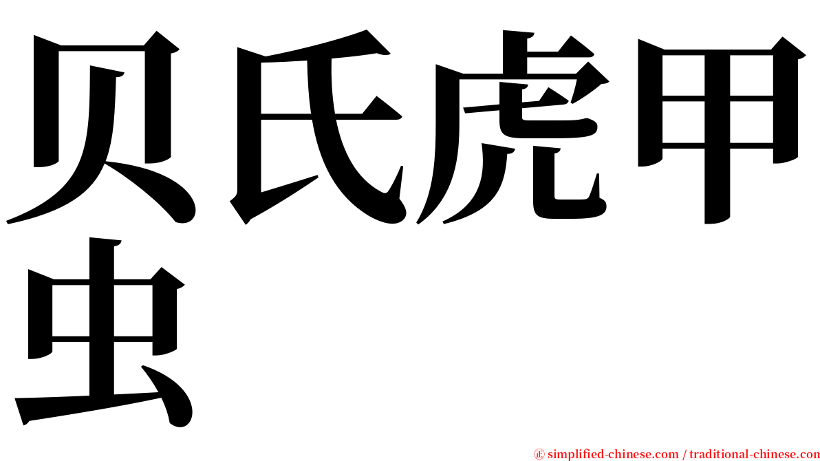 贝氏虎甲虫 serif font