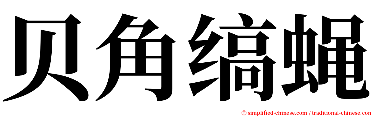 贝角缟蝇 serif font