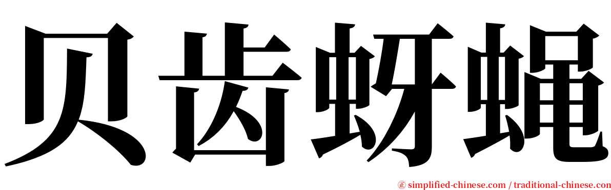 贝齿蚜蝇 serif font