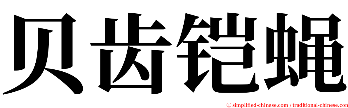 贝齿铠蝇 serif font