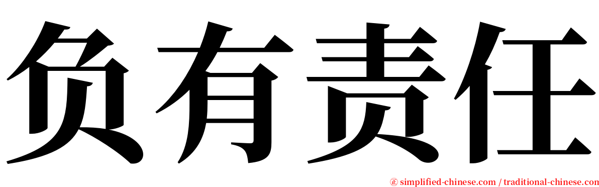 负有责任 serif font