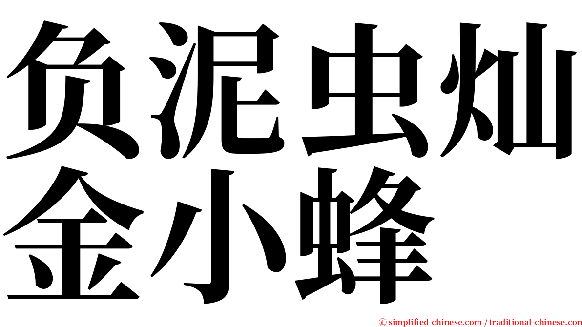 负泥虫灿金小蜂 serif font