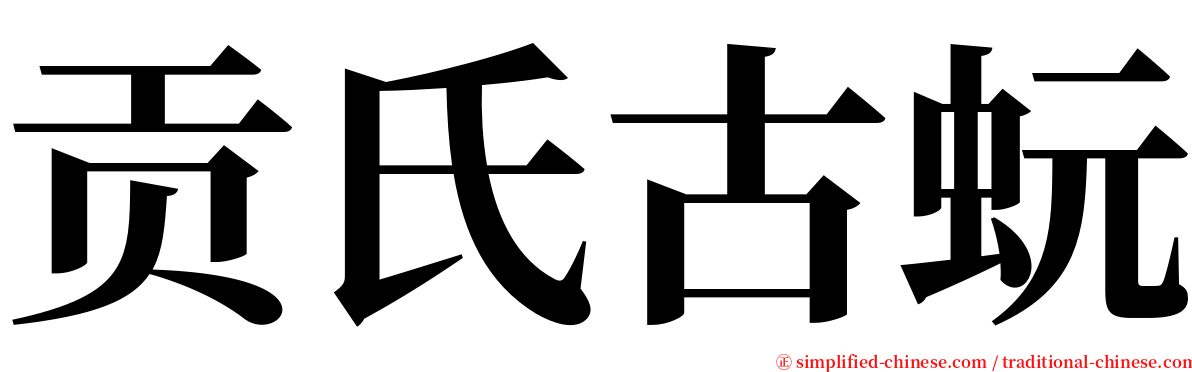 贡氏古蚖 serif font