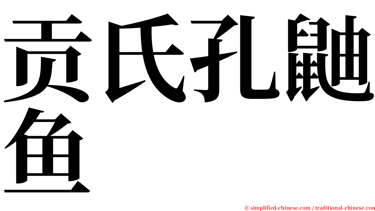 贡氏孔鼬鱼 serif font