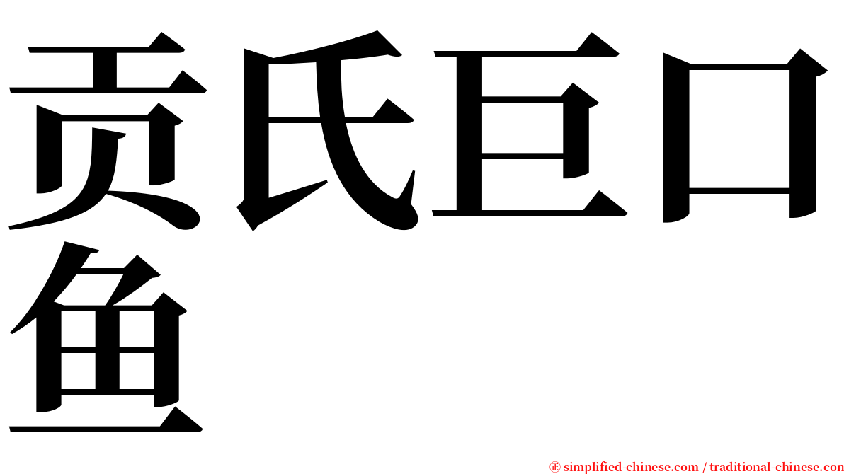 贡氏巨口鱼 serif font