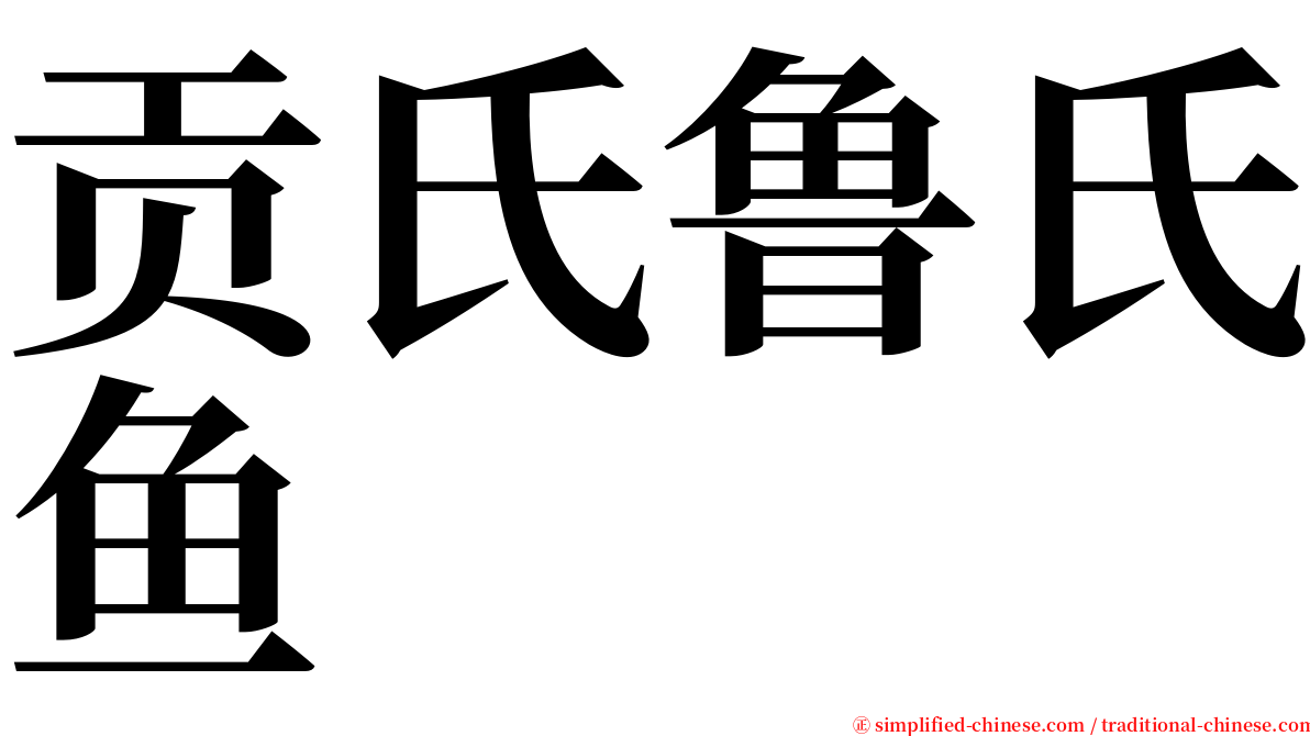 贡氏鲁氏鱼 serif font