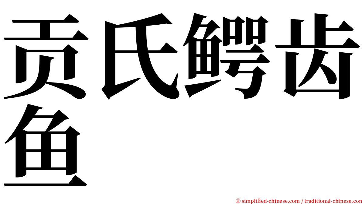 贡氏鳄齿鱼 serif font