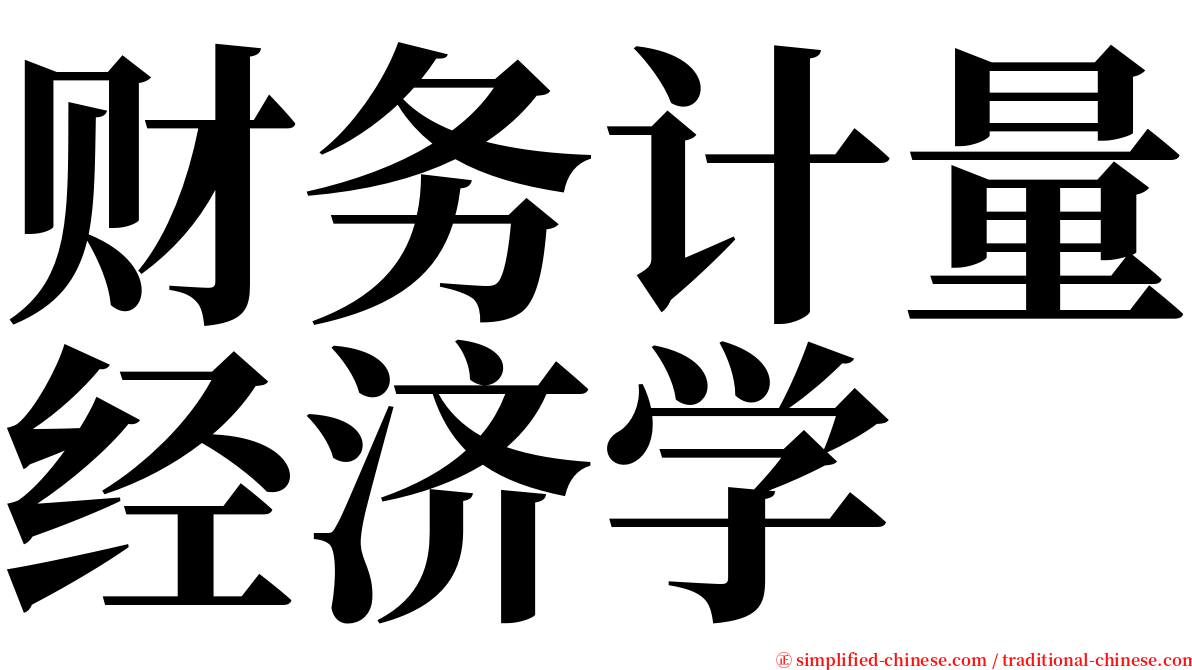 财务计量经济学 serif font