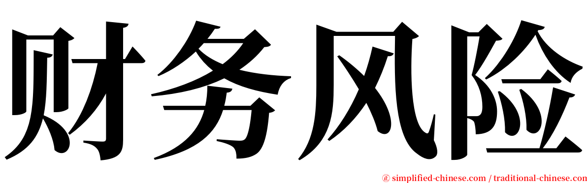 财务风险 serif font