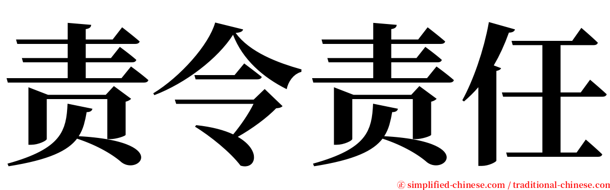 责令责任 serif font