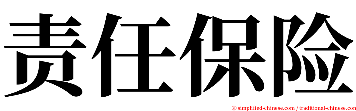 责任保险 serif font