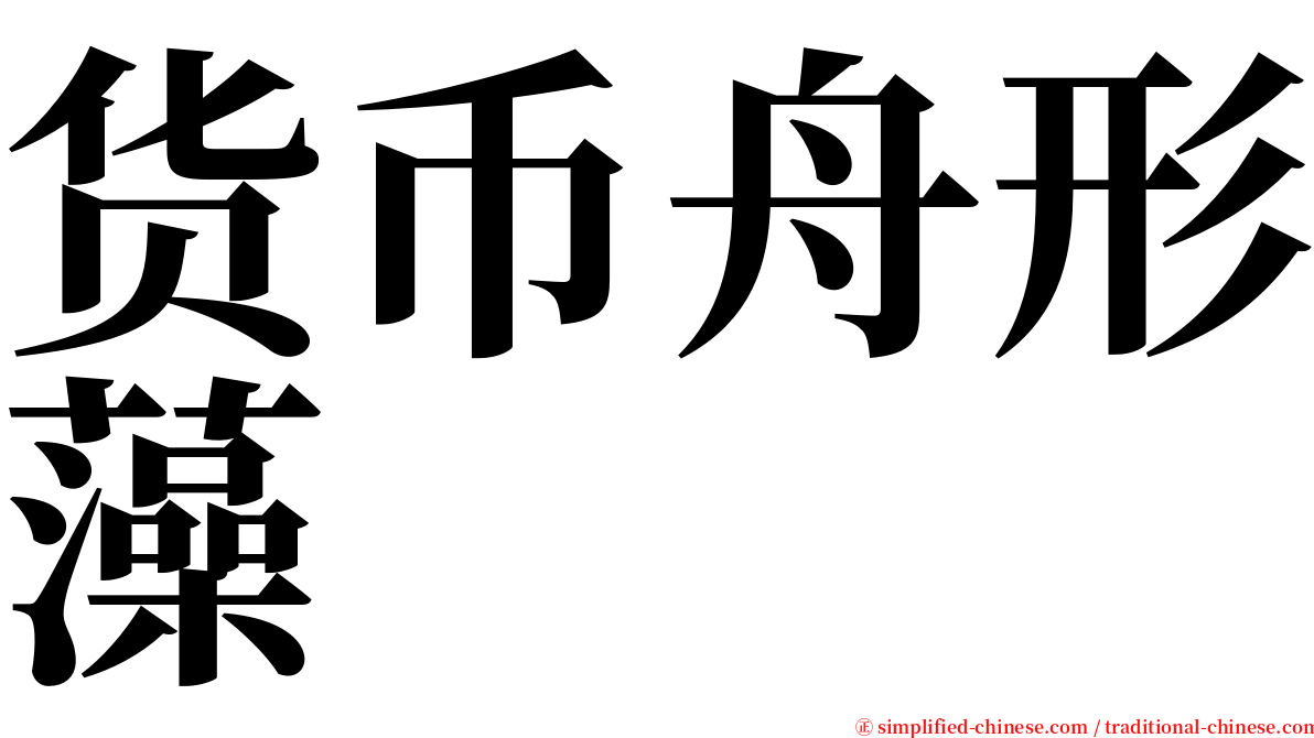 货币舟形藻 serif font