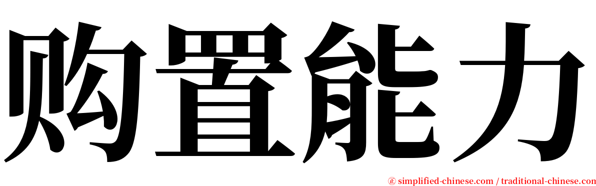 购置能力 serif font