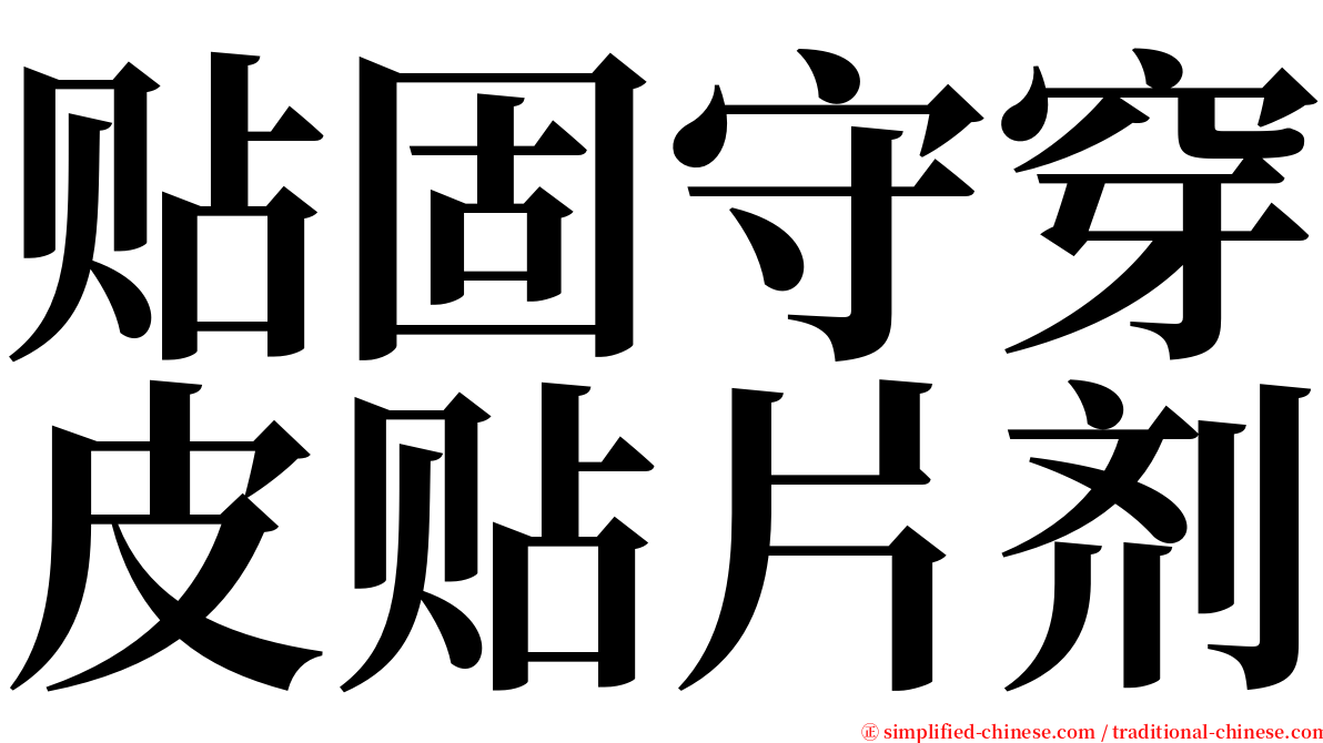 贴固守穿皮贴片剂 serif font