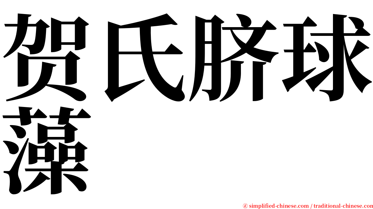 贺氏脐球藻 serif font