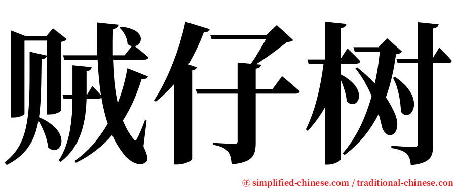 贼仔树 serif font