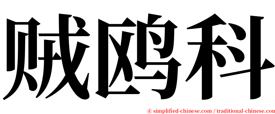 贼鸥科 serif font