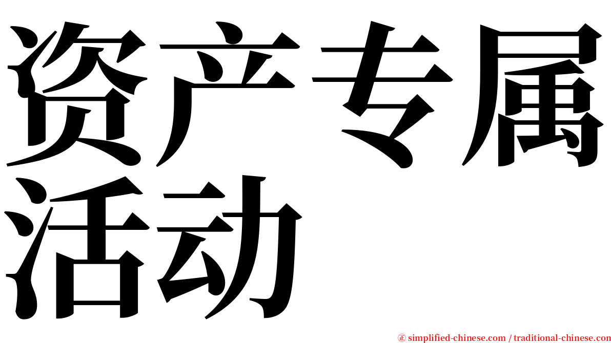 资产专属活动 serif font