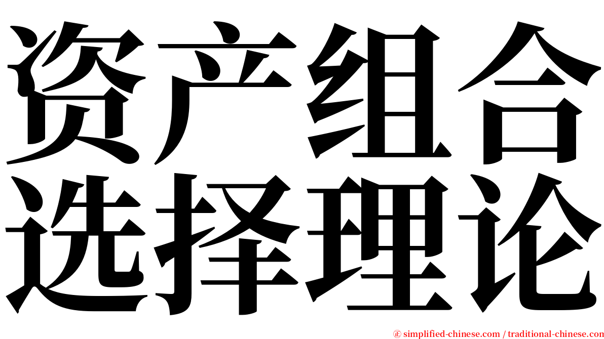 资产组合选择理论 serif font