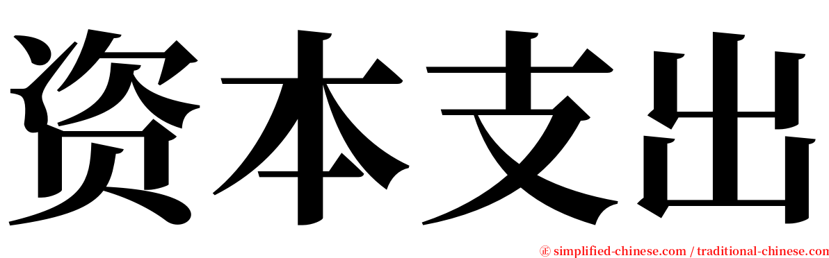 资本支出 serif font