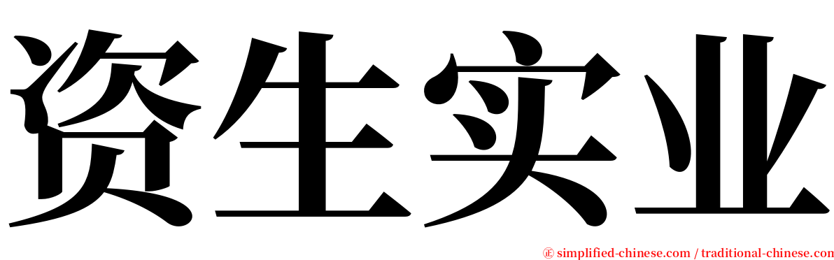 资生实业 serif font