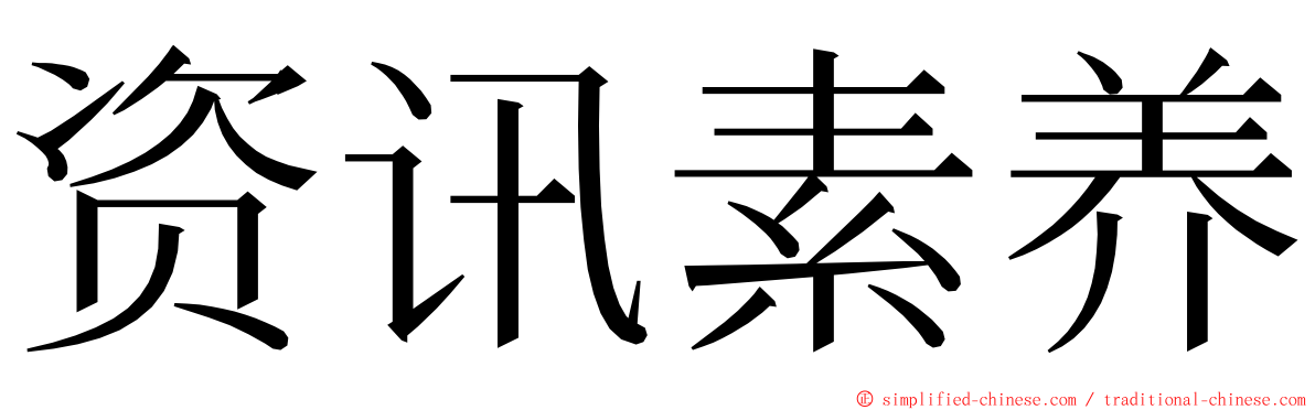 资讯素养 ming font
