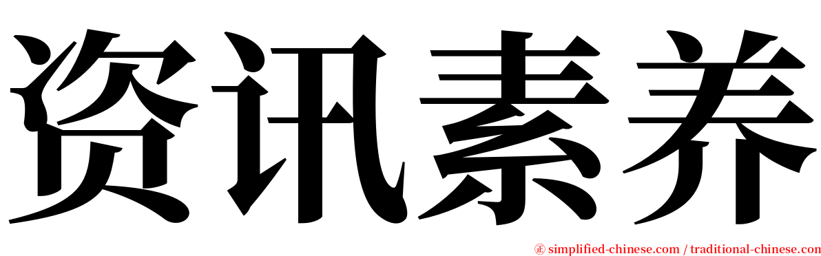 资讯素养 serif font