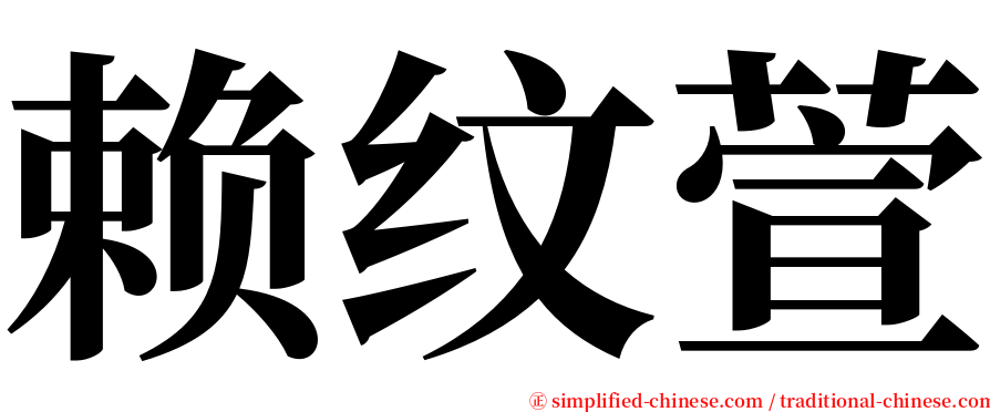 赖纹萱 serif font