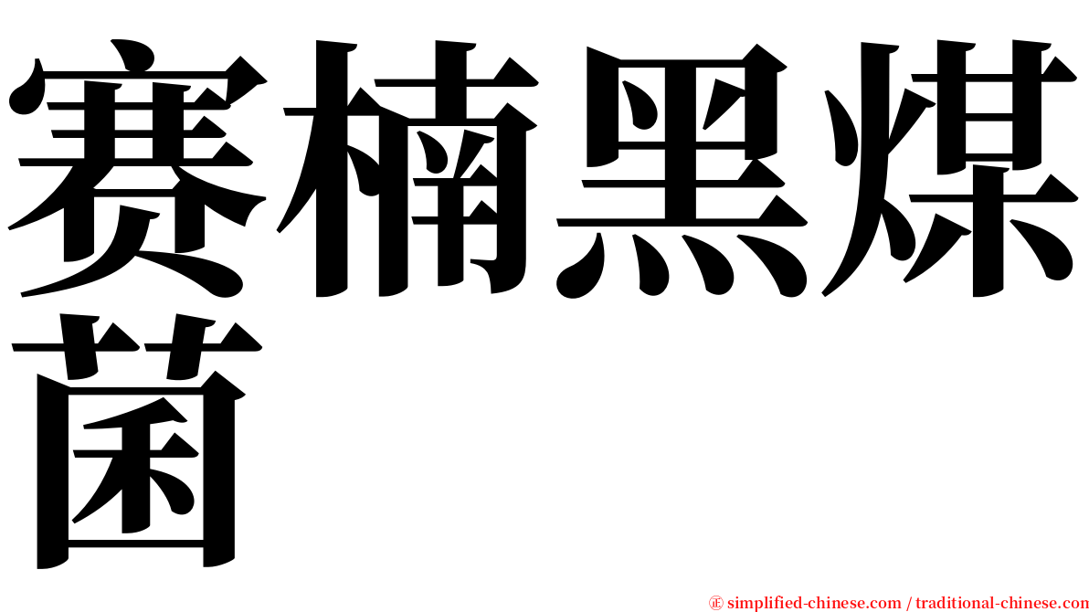 赛楠黑煤菌 serif font