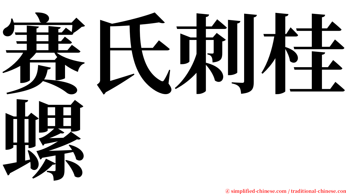 赛氏刺桂螺 serif font