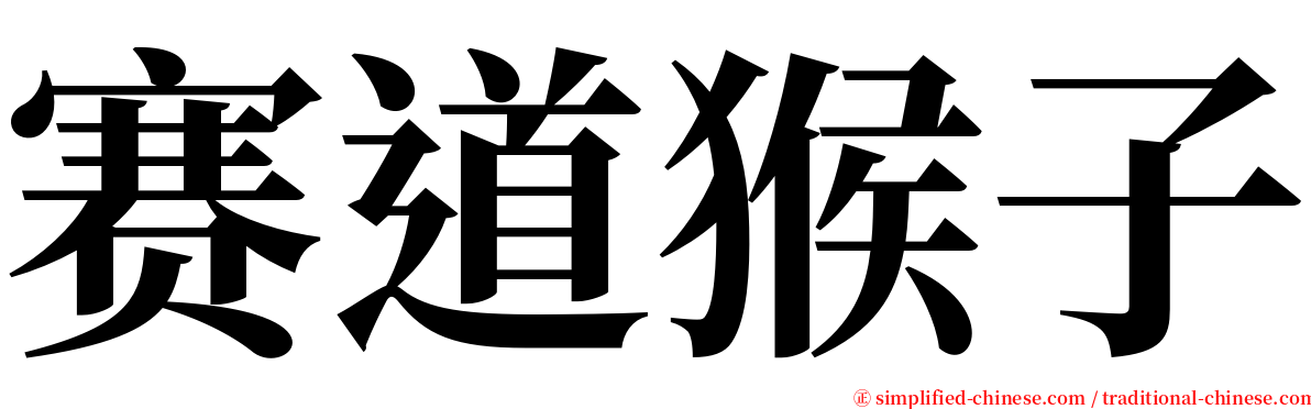 赛道猴子 serif font