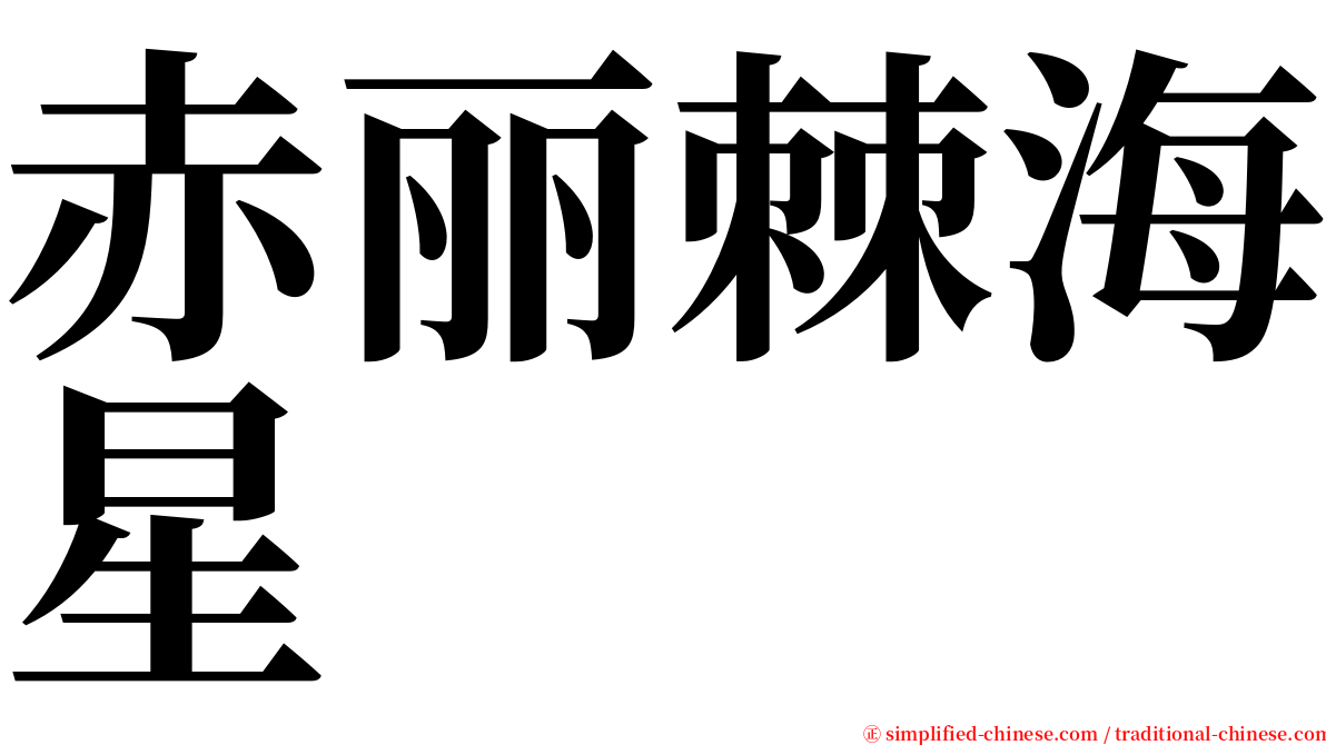 赤丽棘海星 serif font