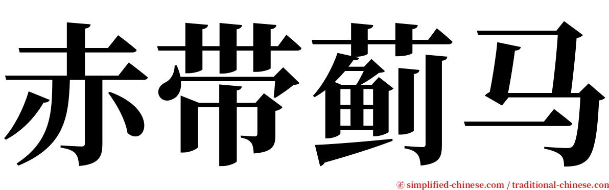 赤带蓟马 serif font