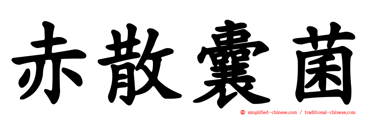 赤散囊菌