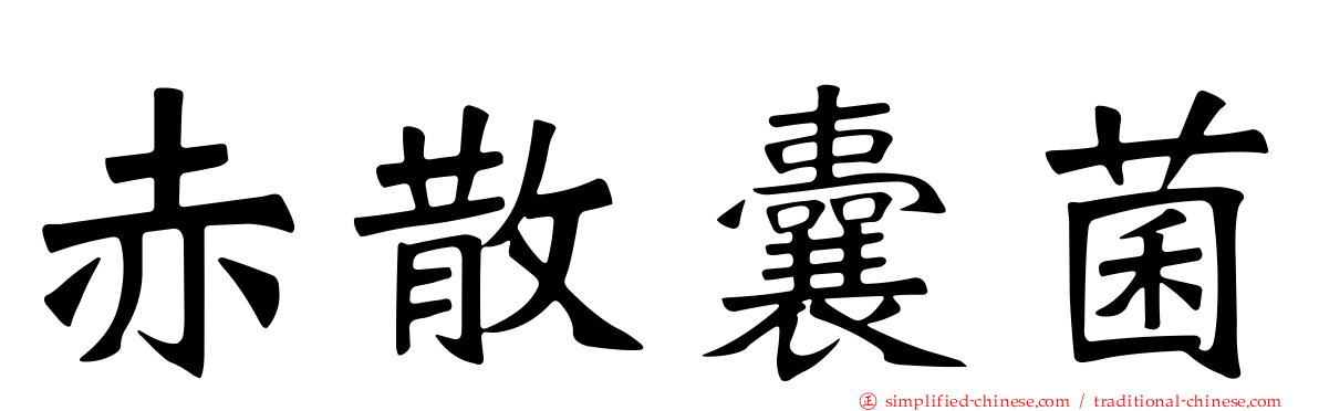 赤散囊菌