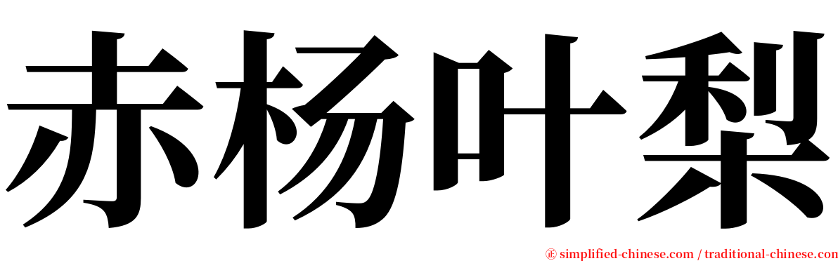 赤杨叶梨 serif font