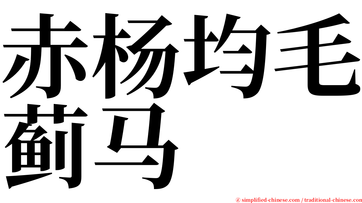 赤杨均毛蓟马 serif font