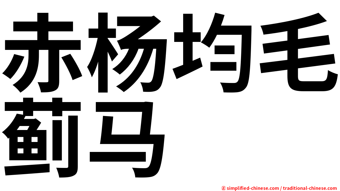 赤杨均毛蓟马