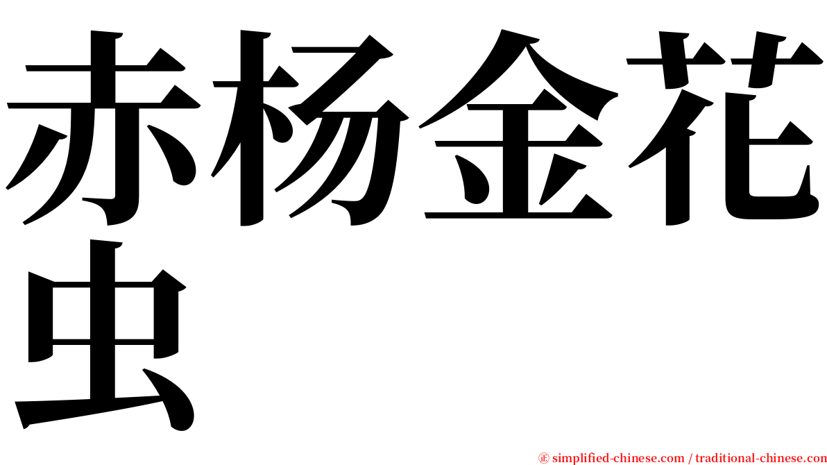 赤杨金花虫 serif font