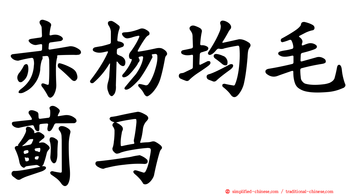 赤杨均毛蓟马