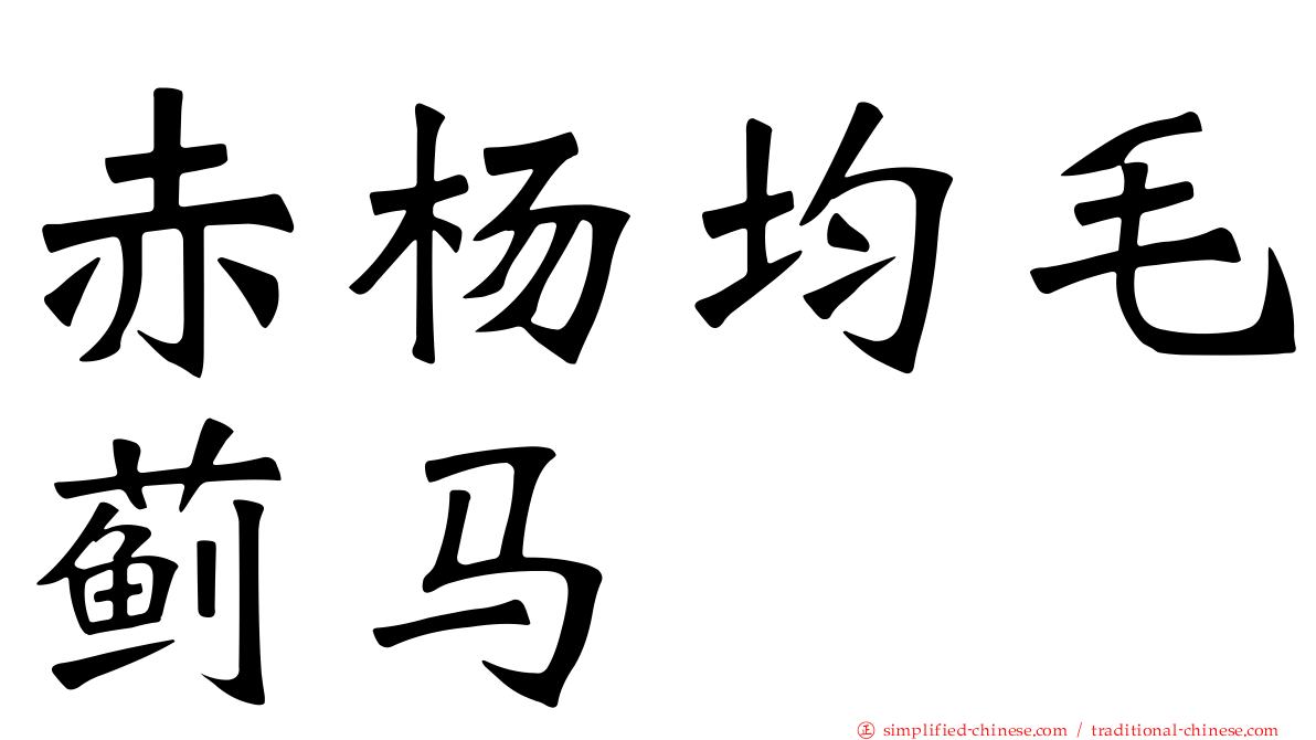 赤杨均毛蓟马