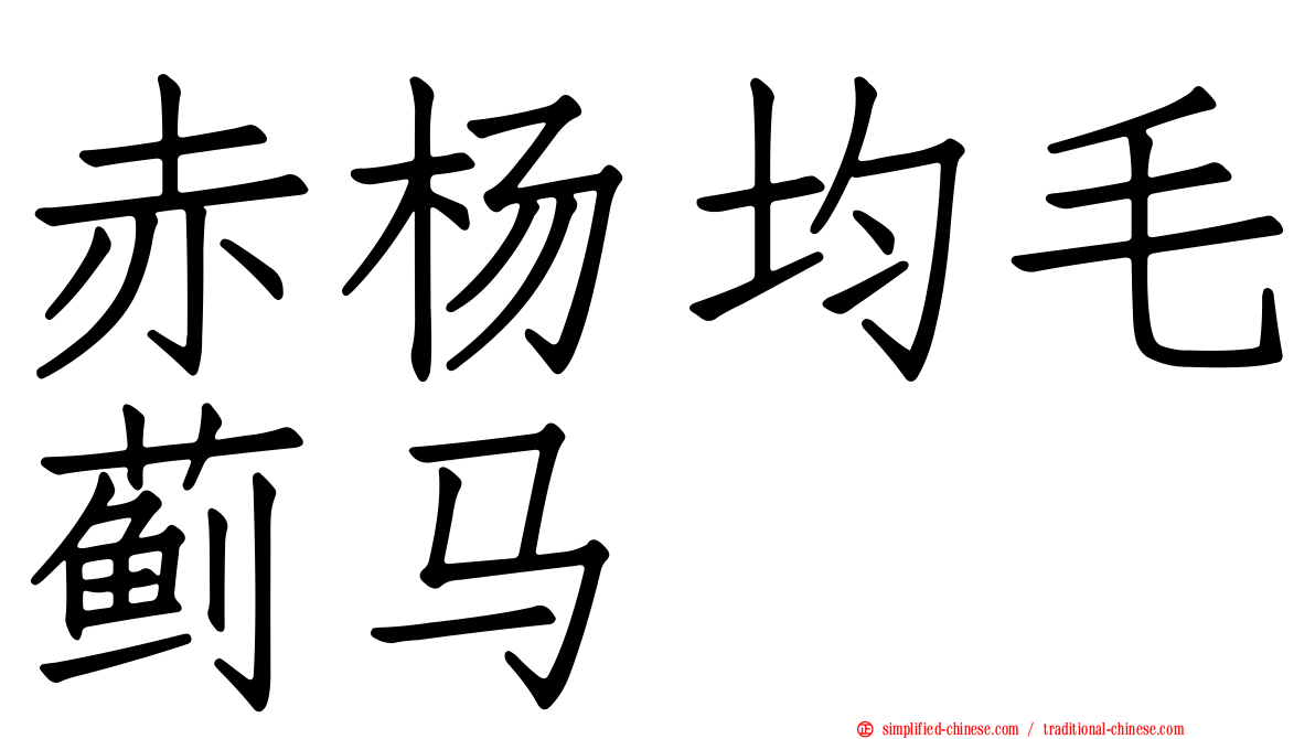 赤杨均毛蓟马