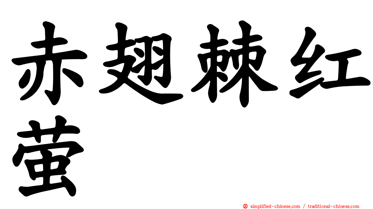 赤翅棘红萤