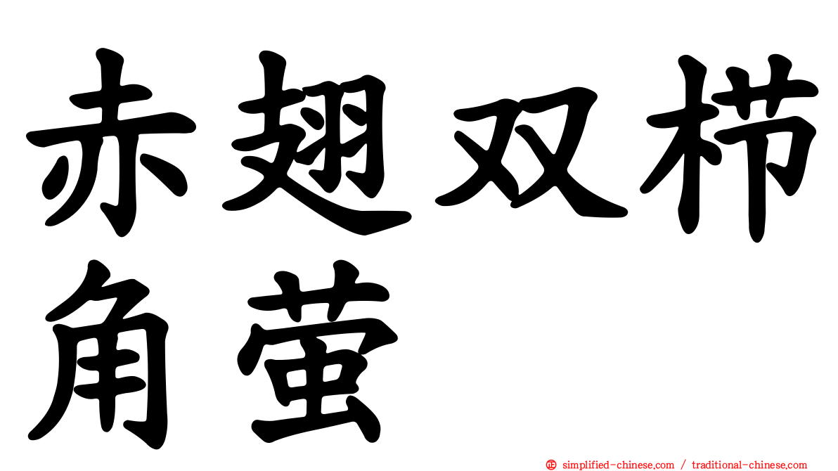 赤翅双栉角萤